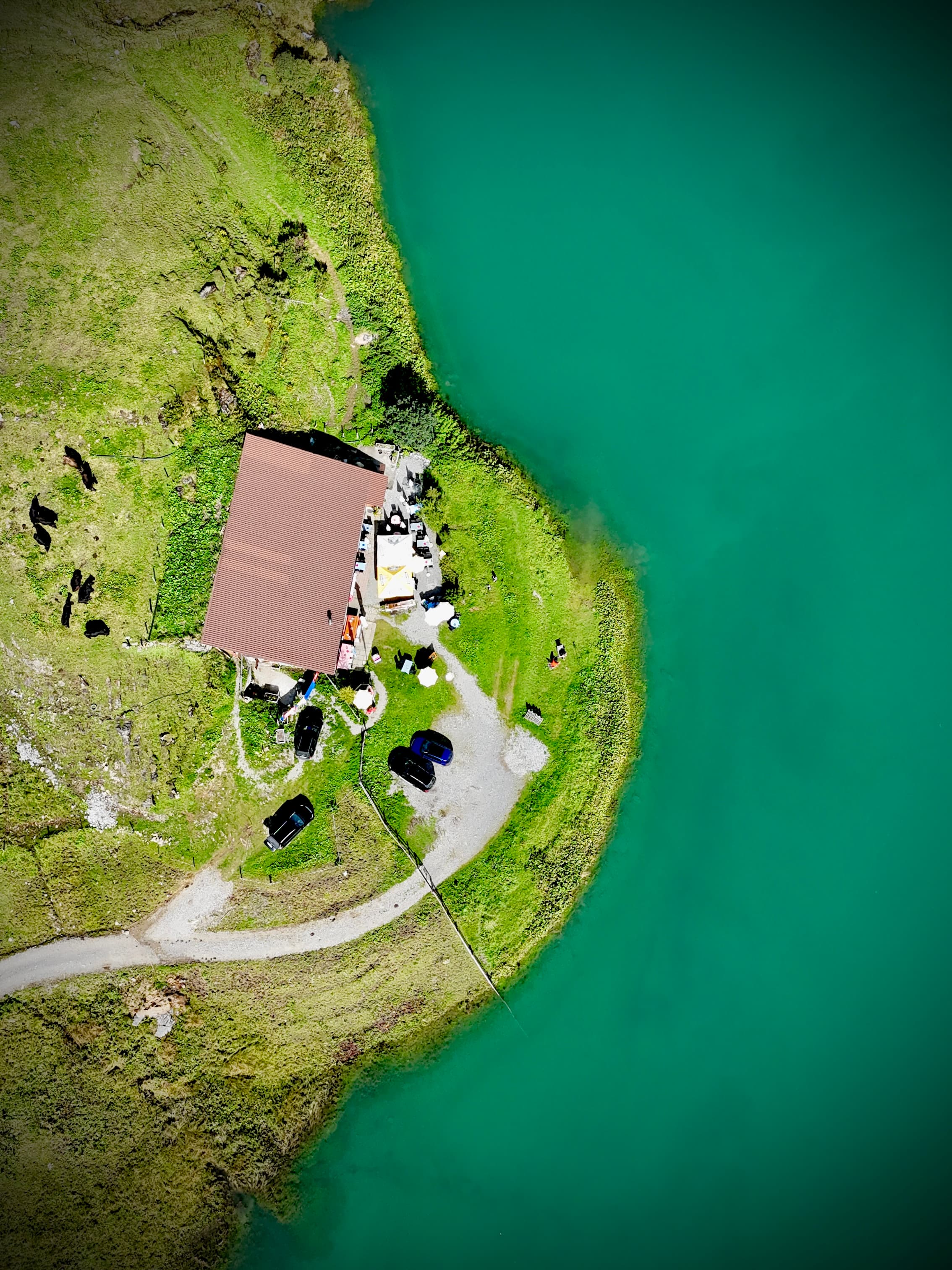 Switzerland - The Swiss Alps - Gallery 5