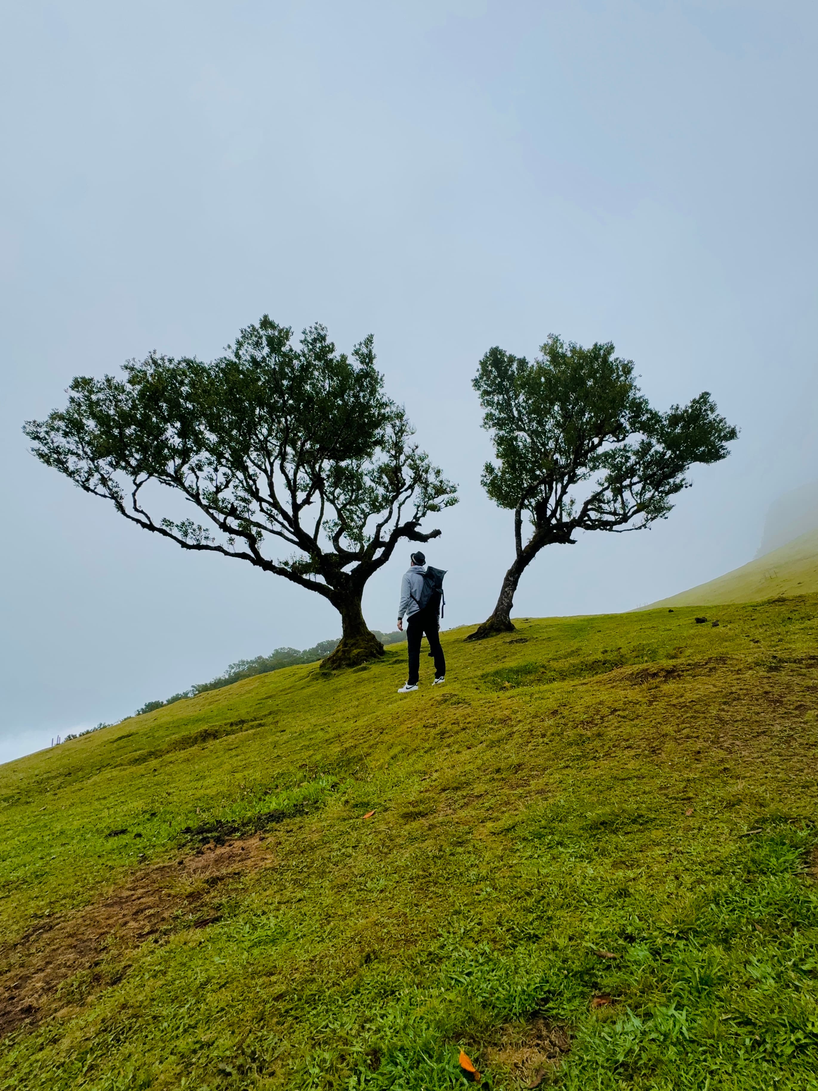 Madeira - Pearl of the Atlantic - Gallery 3