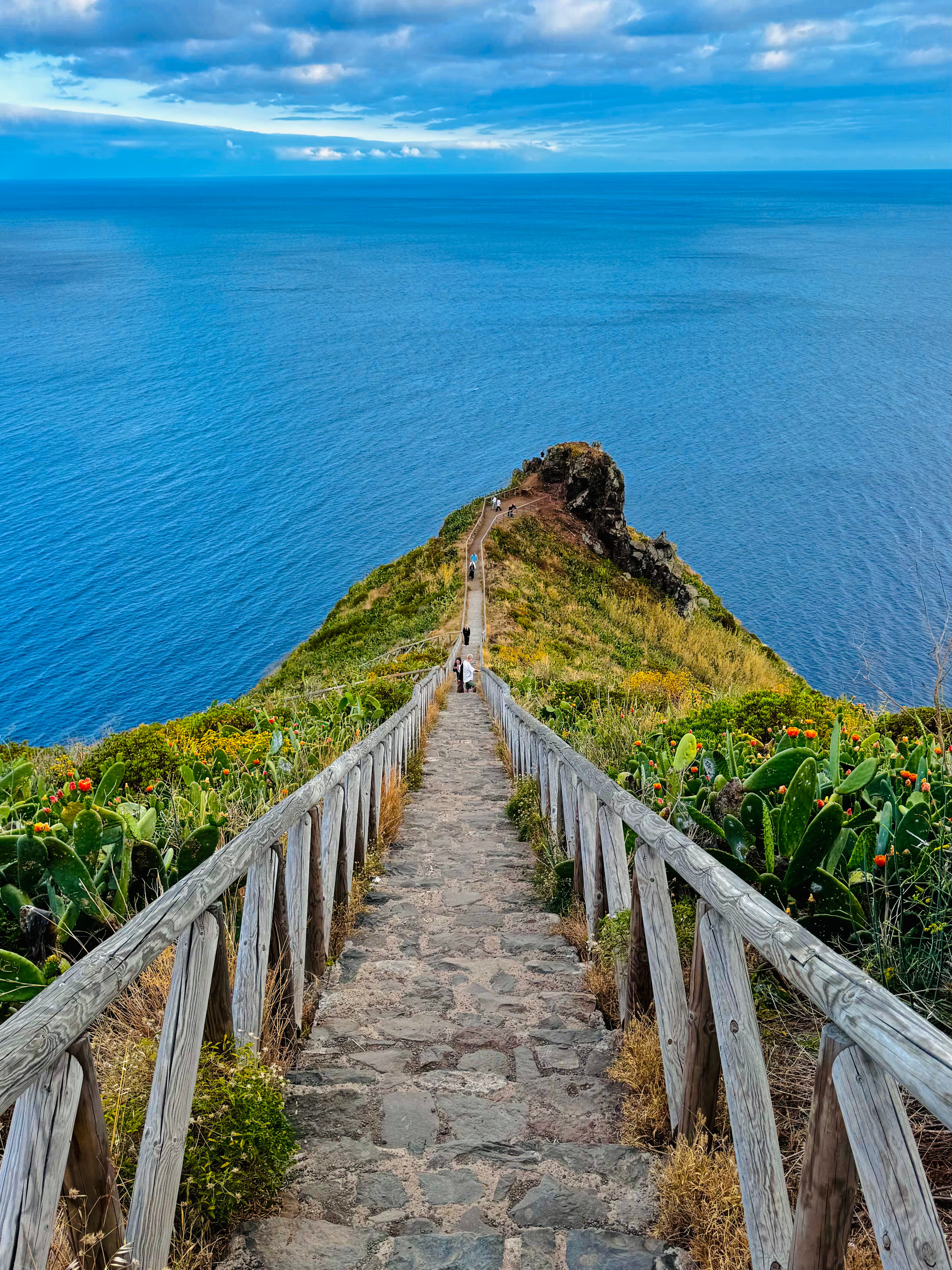 Madeira Atlantic Lines gallery 2