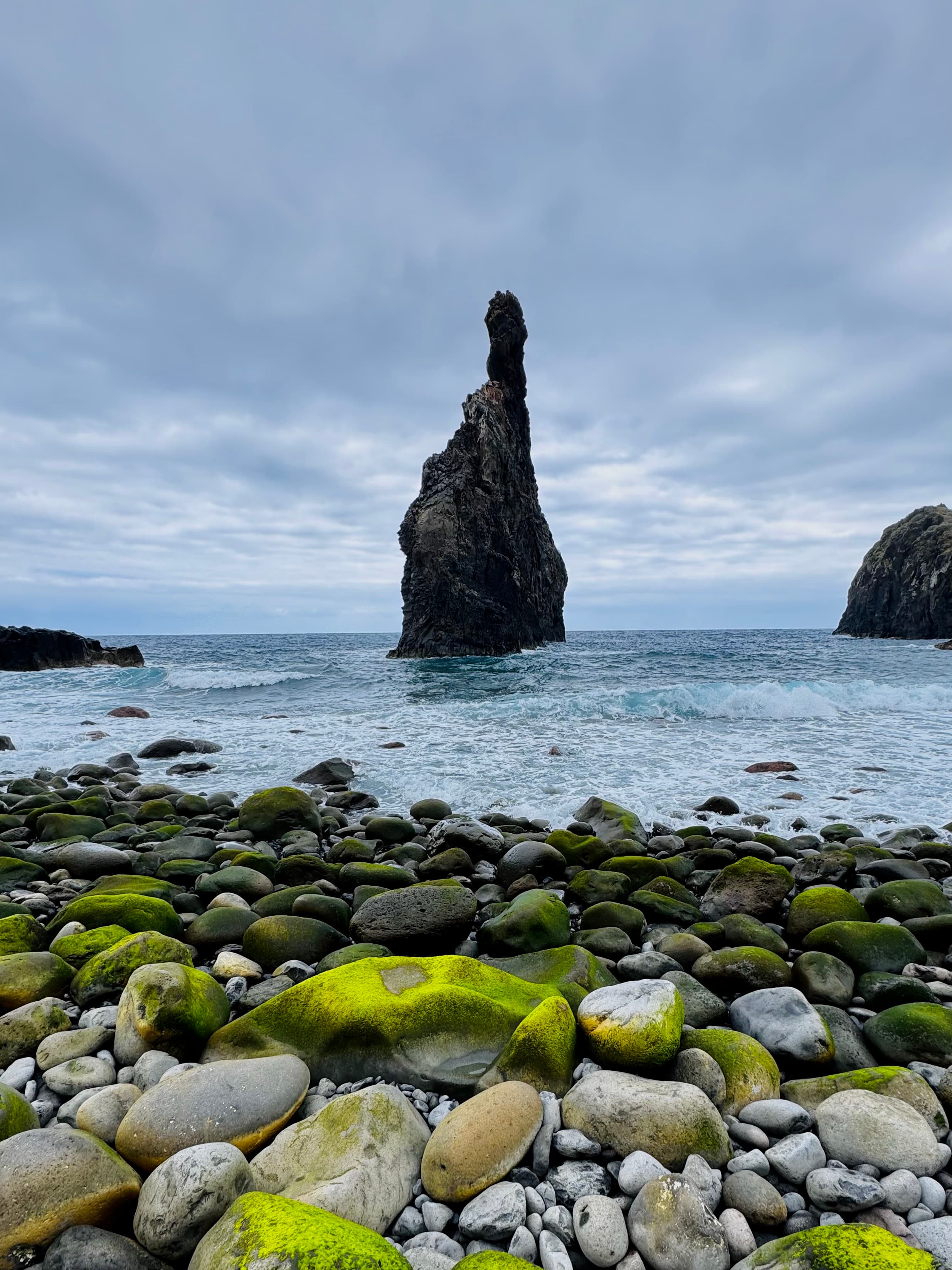 Madeira Atlantic Lines gallery 5