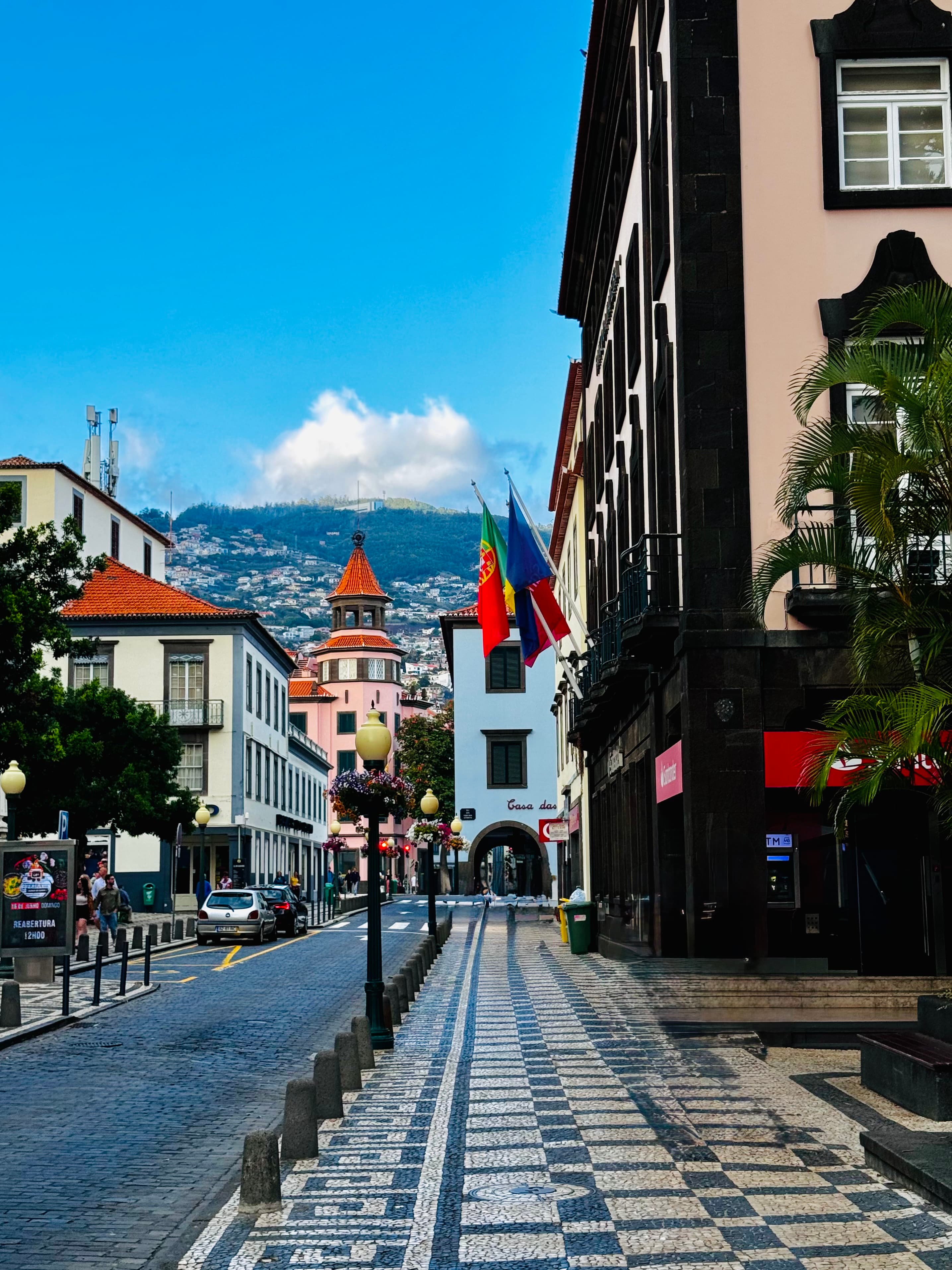 Madeira Atlantic Lines gallery 6