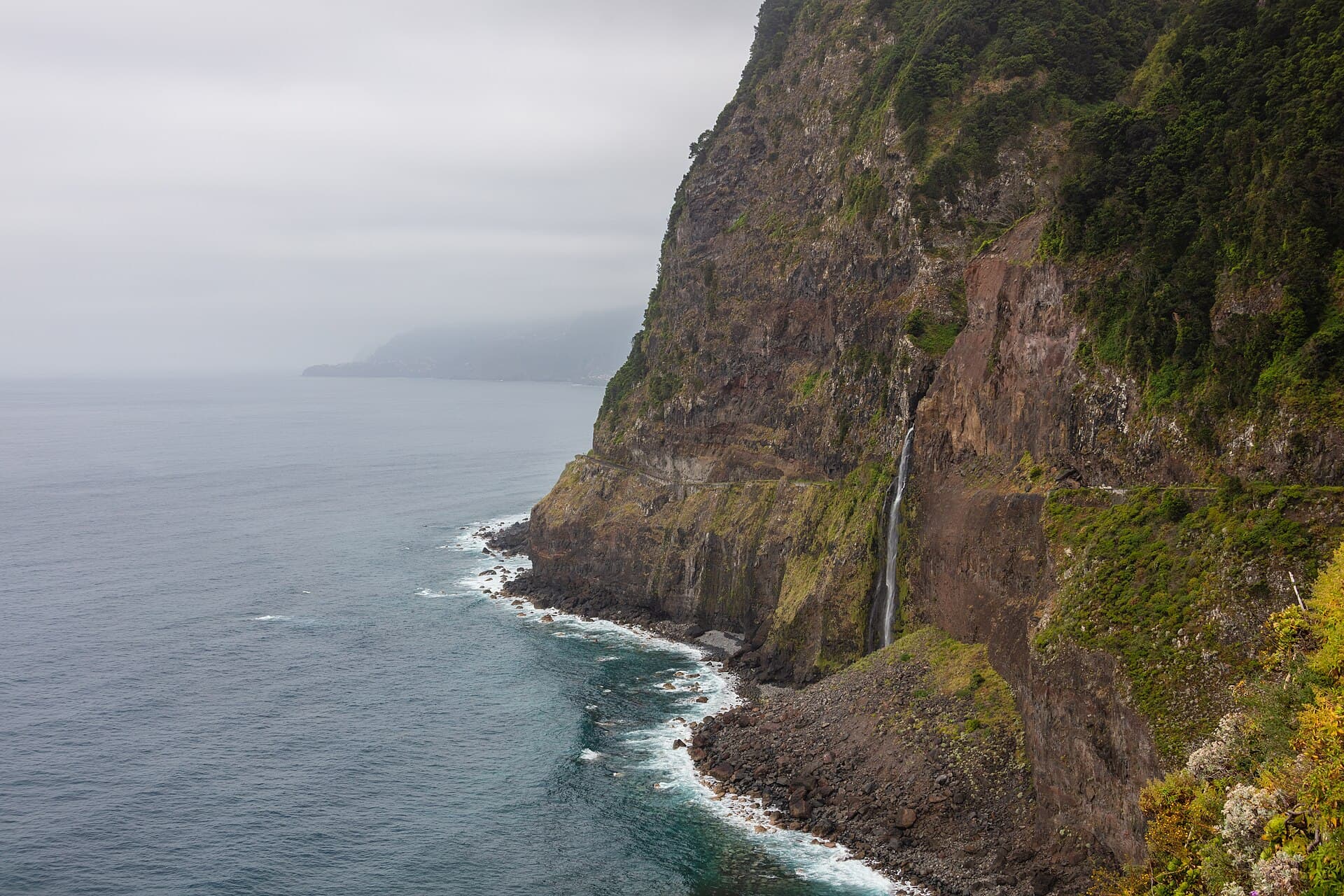 Madeira Atlantic Lines gallery 7