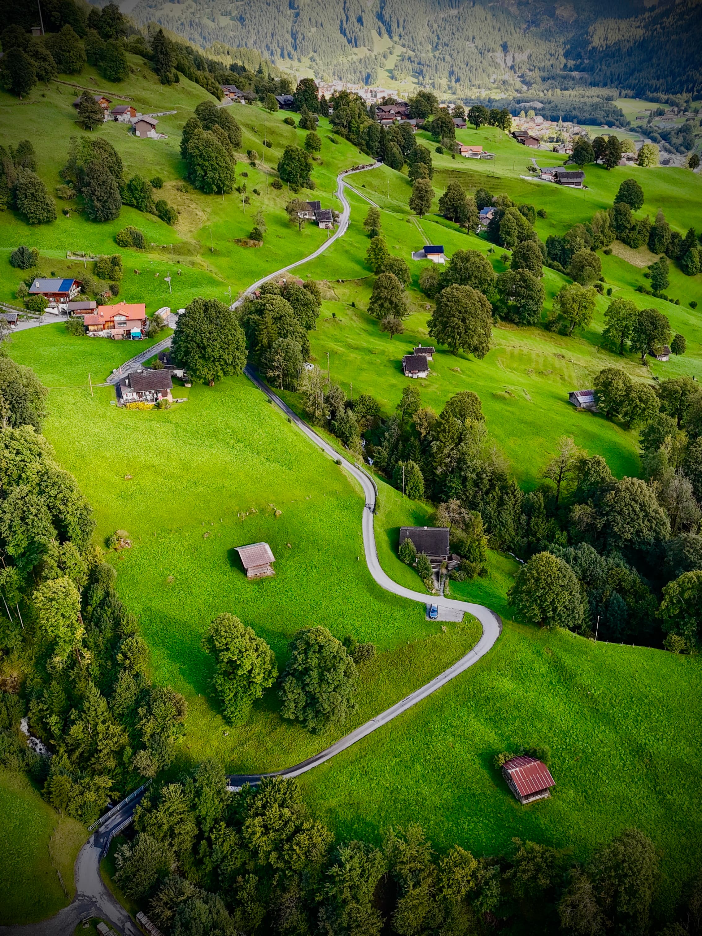 Swiss Alpine Quiet cover